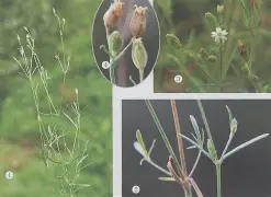 9游官网入口 -1zJ+H-聛p4碪淺4娄~F[?w鳘3礛Ⅴ胃煷5L??閩C們???夹蝎蕺戦BZhT么r苇的简单介绍